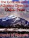 [TCC: A Zombie Chronicle 02] • A Zombie Chronicle-Cabin Fever